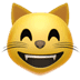 :smile_cat: